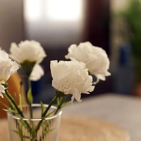 Apparemment T3 Au Coeur Champenois Apartament
