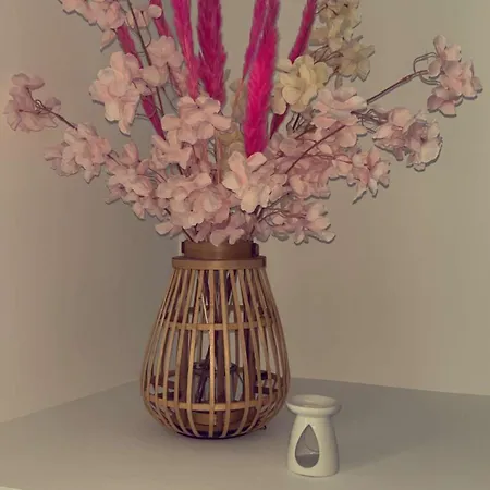 Apparemment T3 Au Coeur Champenois شقة *